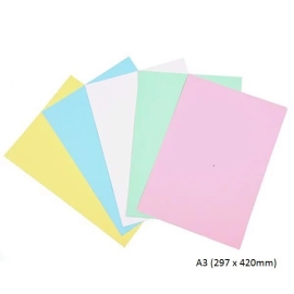Bìa thái A4 dương, hồng, vàng, lá